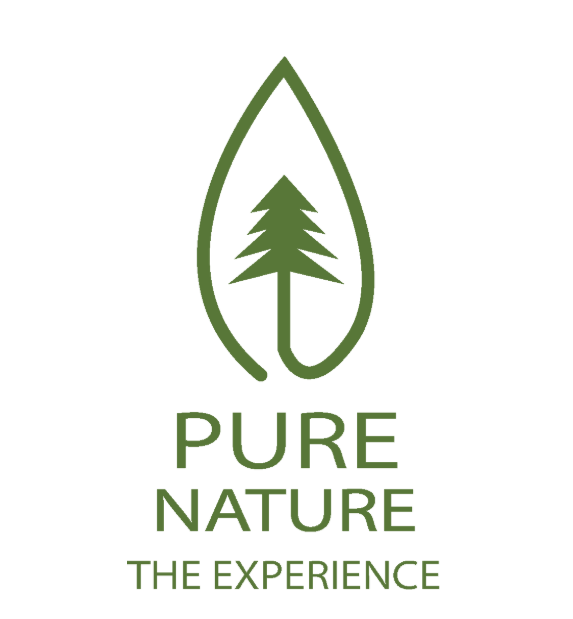 Pure Nature Experience – Logo Design